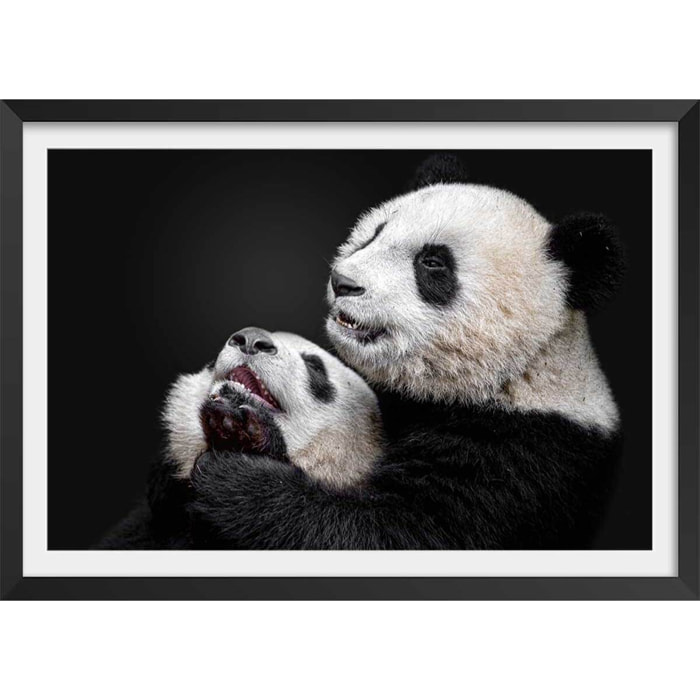 Affiche enfant pandas  Affiche + cadre en bois - Noir