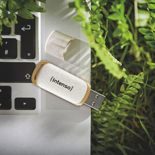 Clé USB INTENSO 64go GREEN LINE Flash drive 3.2