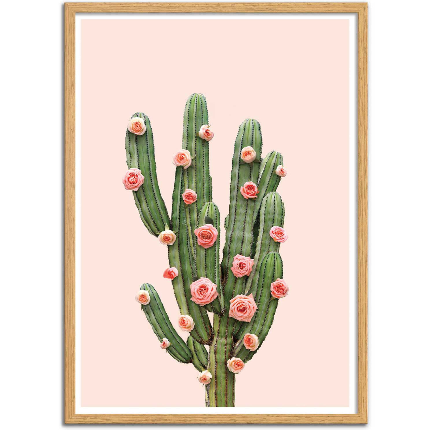 Affiche - Cactus and Roses - Paul Fuentes