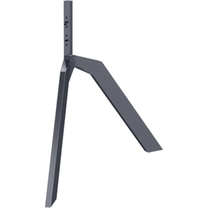 Accessoire TCL Pied TV STD115G-O - 115X955