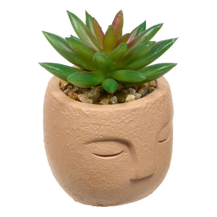 Plante artificielle Teri 9 cm avec Pot visage