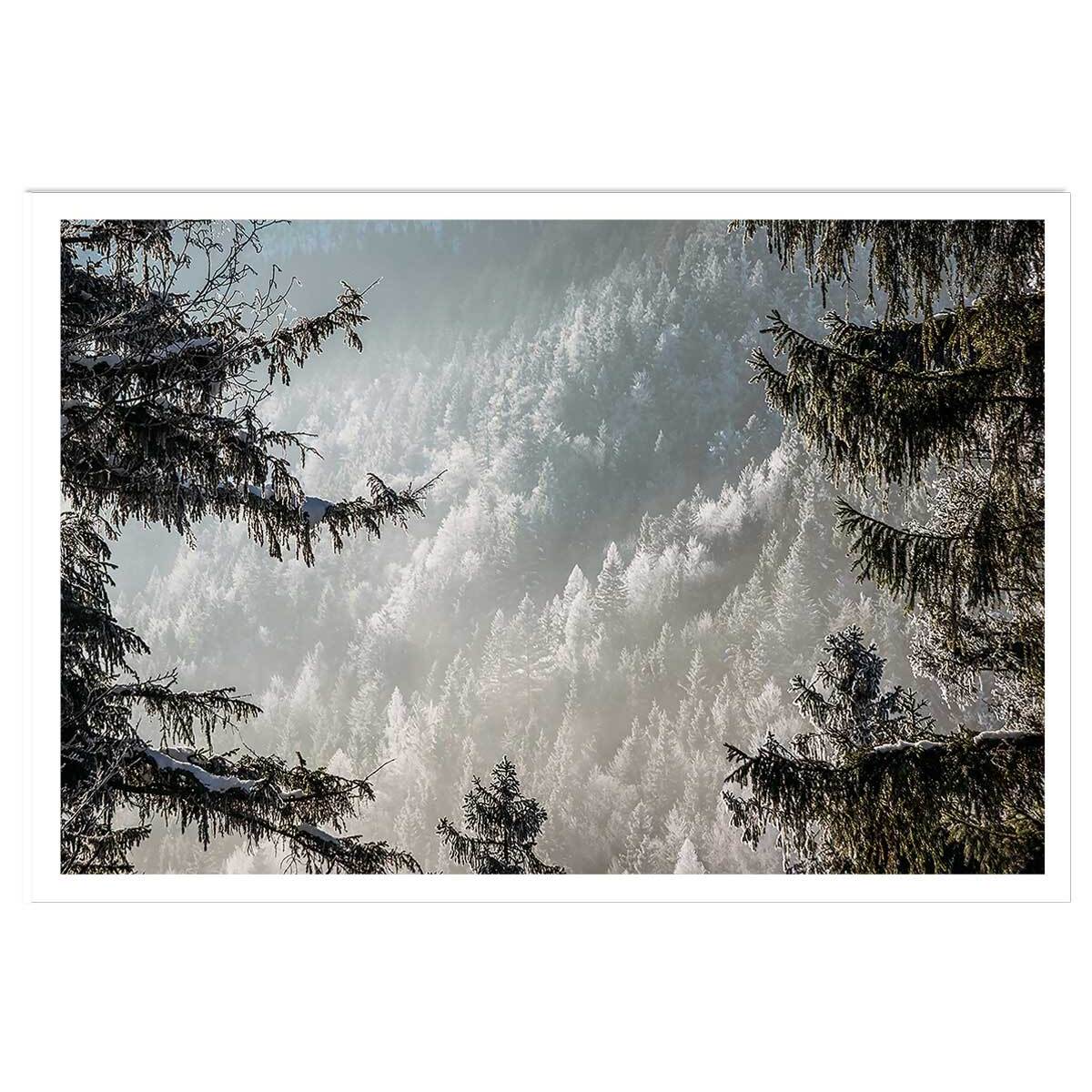 Affiche paysage forest in fog drama Affiche seule