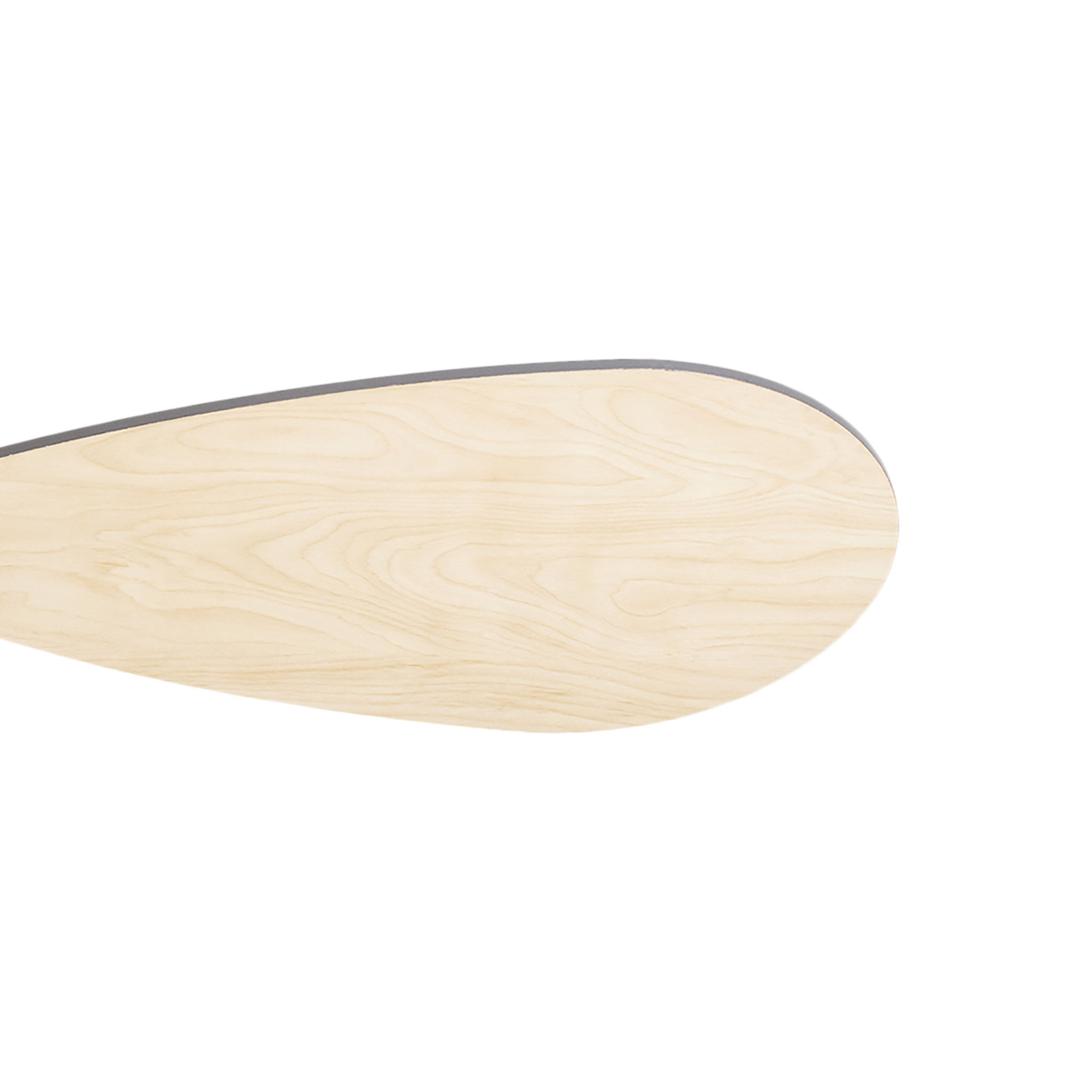 Forlight Blume Ventilador de Techo Ultrasilencioso con 6 velocidades, regulador de Intensidad y Temporizador de apagado. Negro.