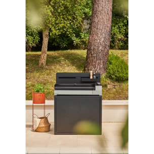 Plancha gaz FORGE ADOUR Premium 75 Inox 3 brûleurs à poser 75.5x41 cm