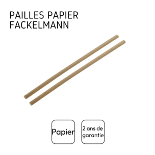 Boite de 250 pailles en papier brun 21 cm Fackelmann Nature