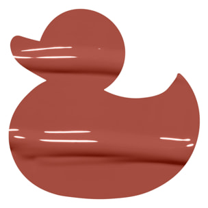 Duck Plump Brown Of Applause