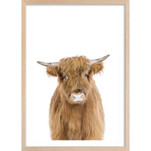 Affiche enfant bébé vache Affiche + cadre en bois - Chêne
