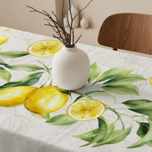 Nappe anti-taches 100% coton Jacobo