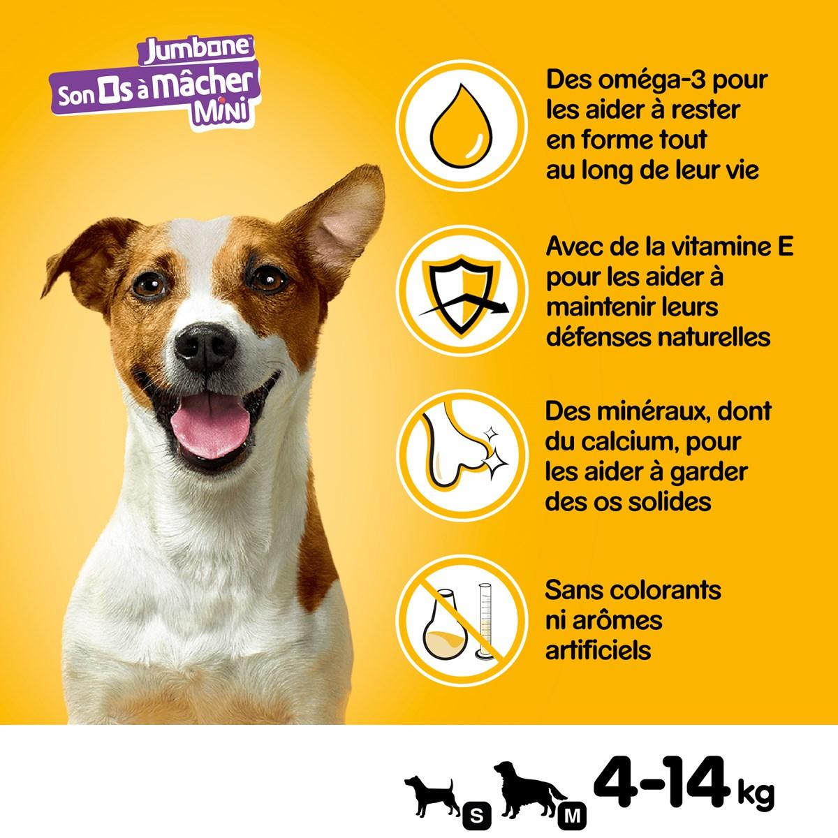 PEDIGREE Son Os à Mâcher Récompenses pour petit chien 4 friandises (1x160g)