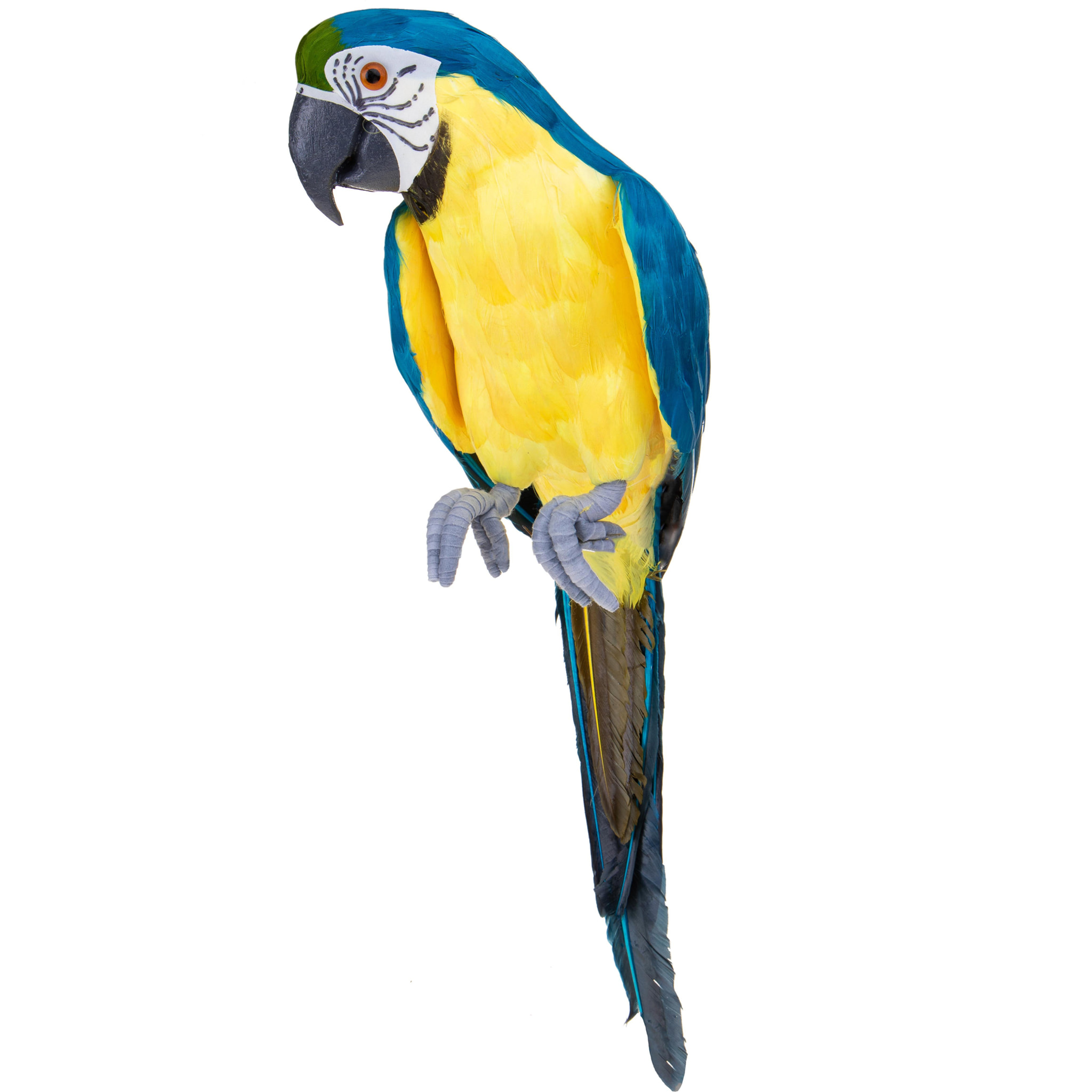 Pappagallo Blu/Giallo. Altezza 43 Cm - Pezzi 1 - 15X70X16cm - Colore: Blu - Bianchi Dino - Articoli Primaverili E Pasquali