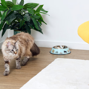 Gamelle Anti Derapante