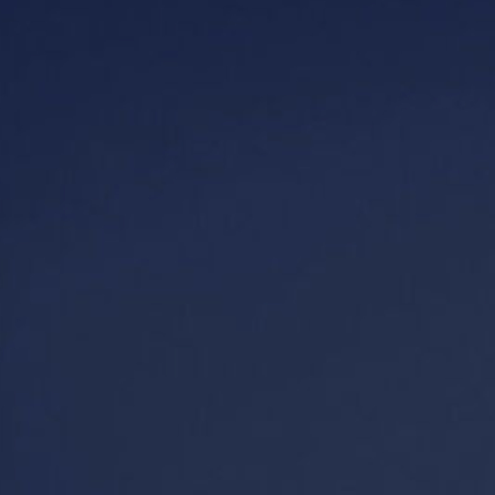 Abattant wood slim déclipsable uni - Bleu Marine