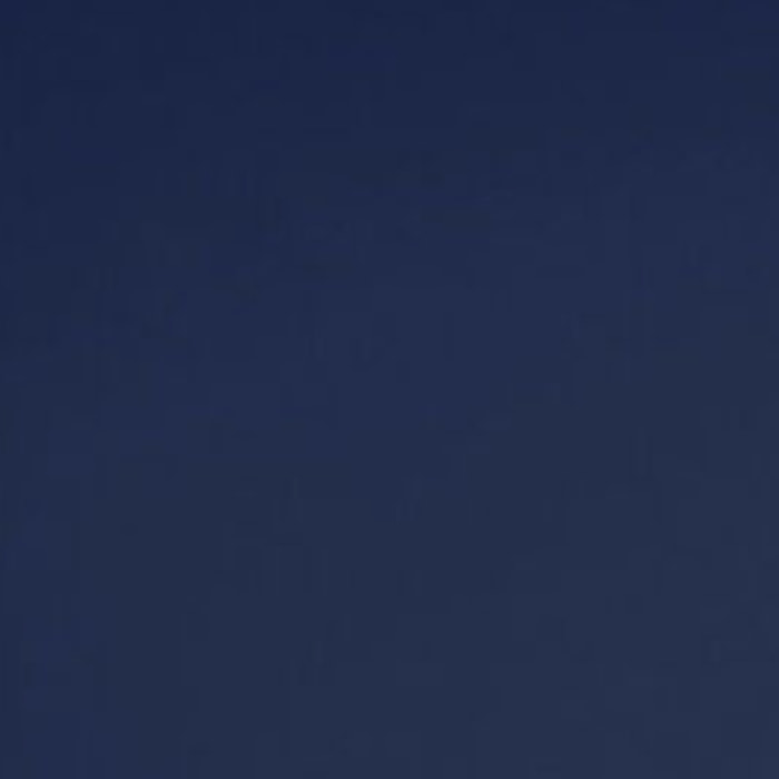 Abattant wood slim déclipsable uni - Bleu Marine