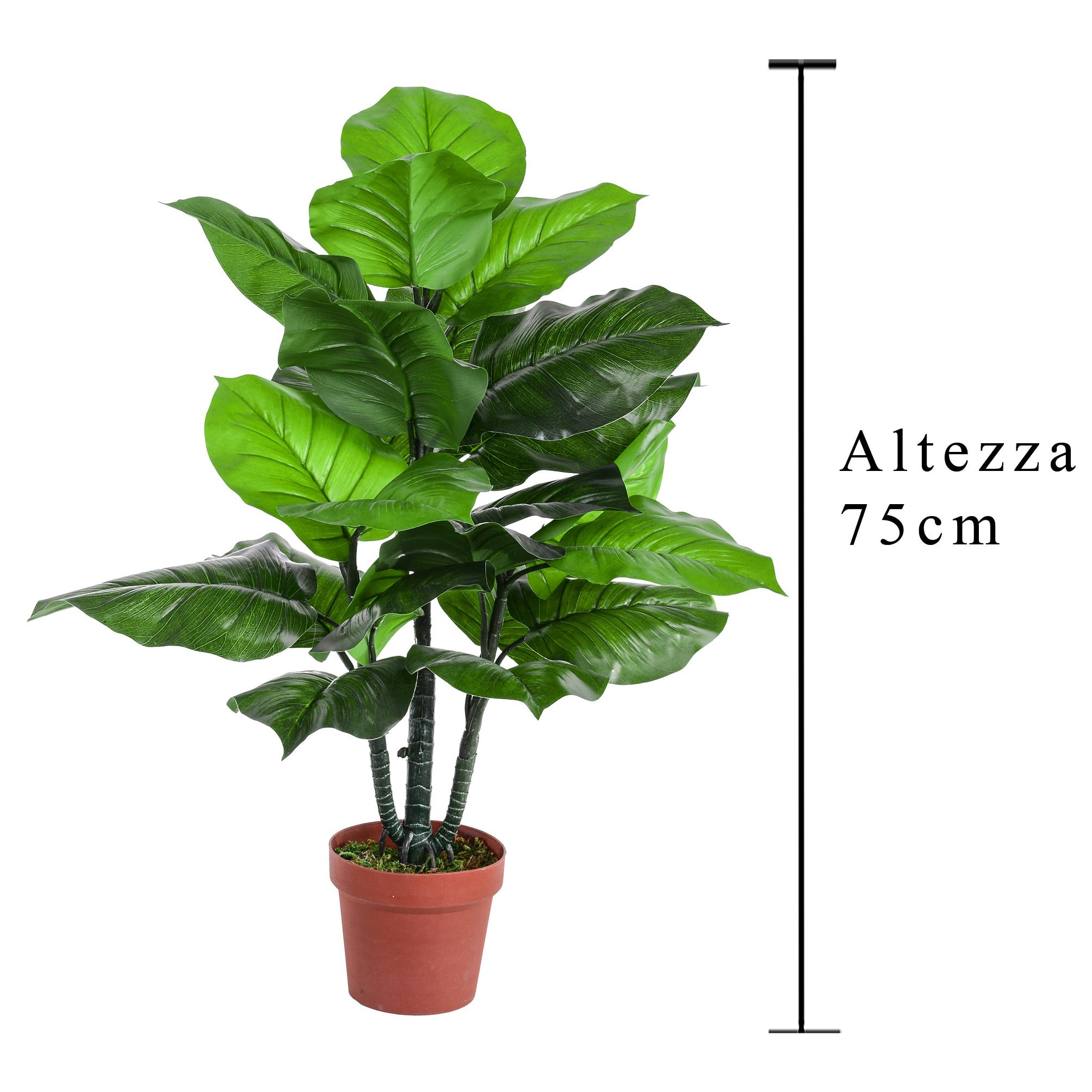 Pothos In Vaso Con 22 Foglie. Altezza 75 Cm - Pezzi 1 - 50X75X50cm - Colore: Verde - Bianchi Dino - Piante Artificiali