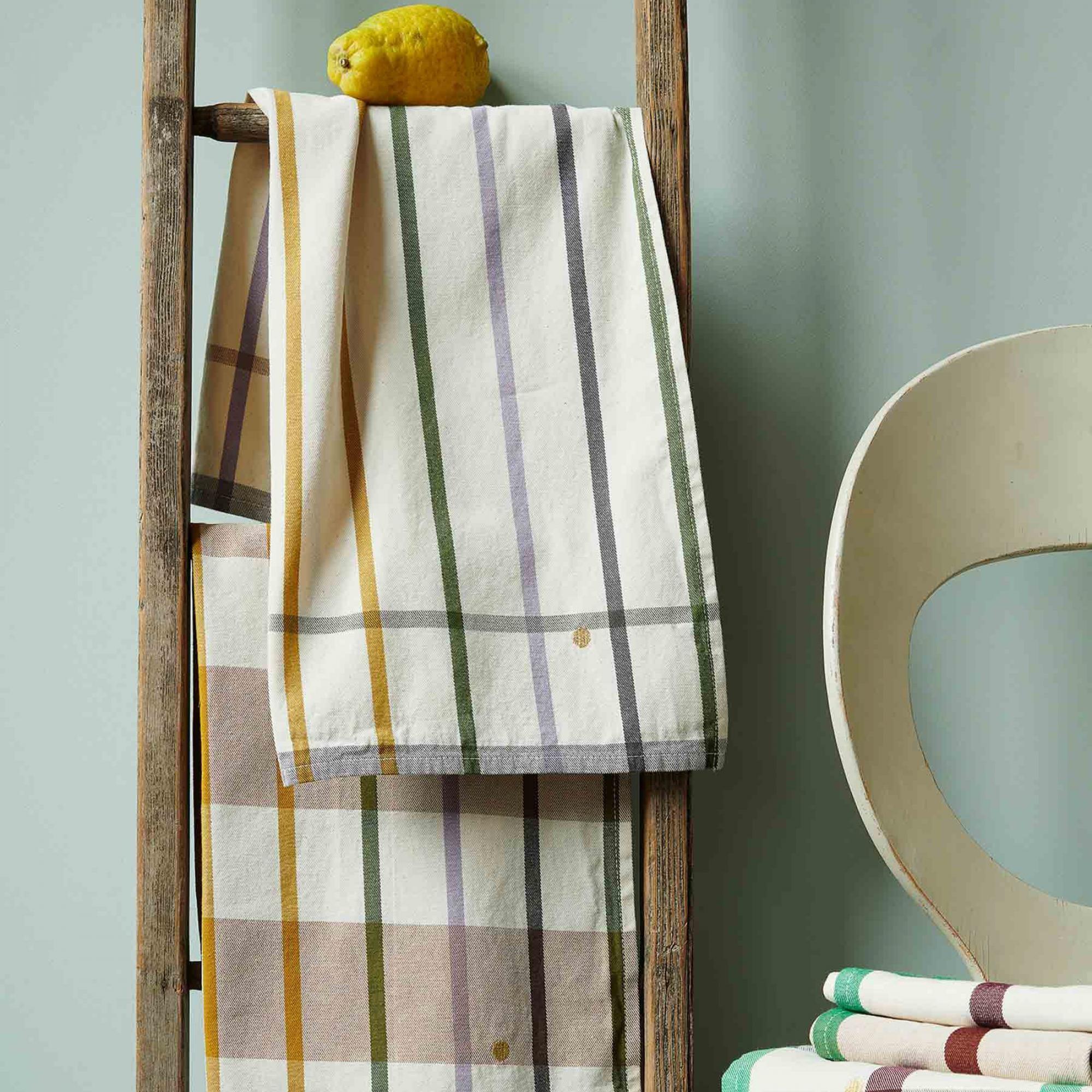 Lot de 2 torchons Archie