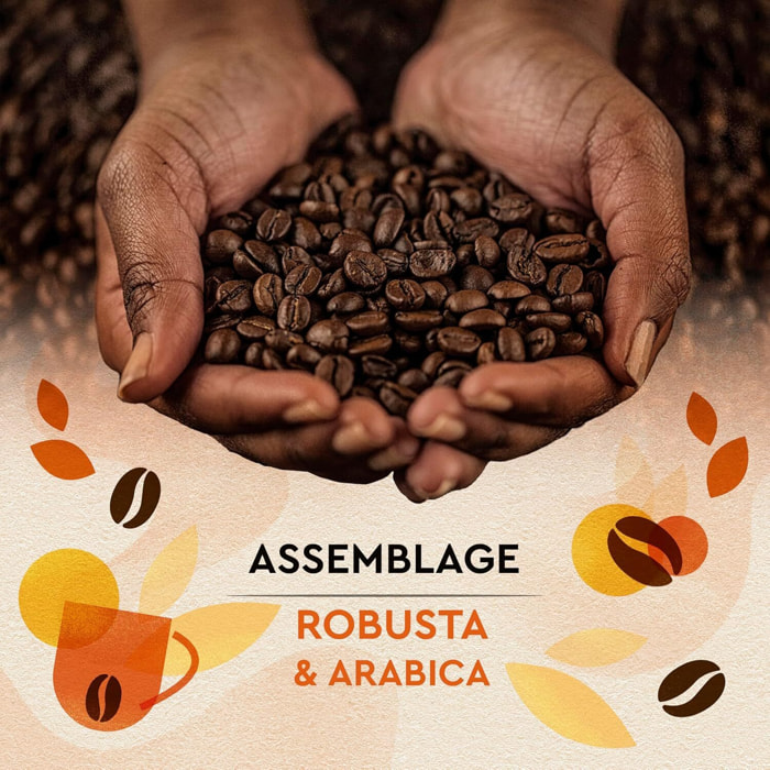 Grains Petit Déjeuner 1kg