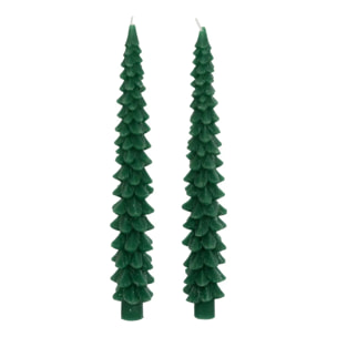 Lot de 2 bougies bâton sapin vert