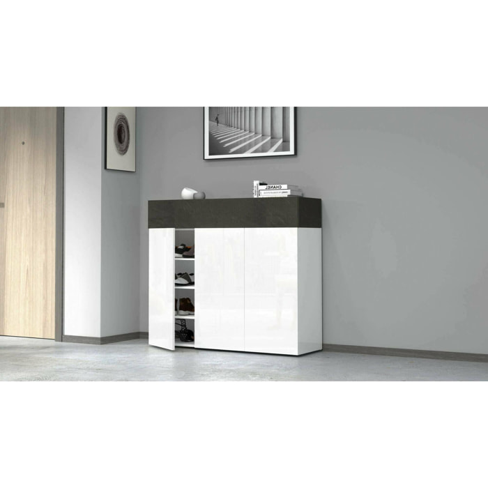 Scarpiera Dcanestrell, Porta scarpe salvaspazio a 4 ante, Armadio multifunzione da ingresso, 114x38h100 cm, Bianco e Ardesia