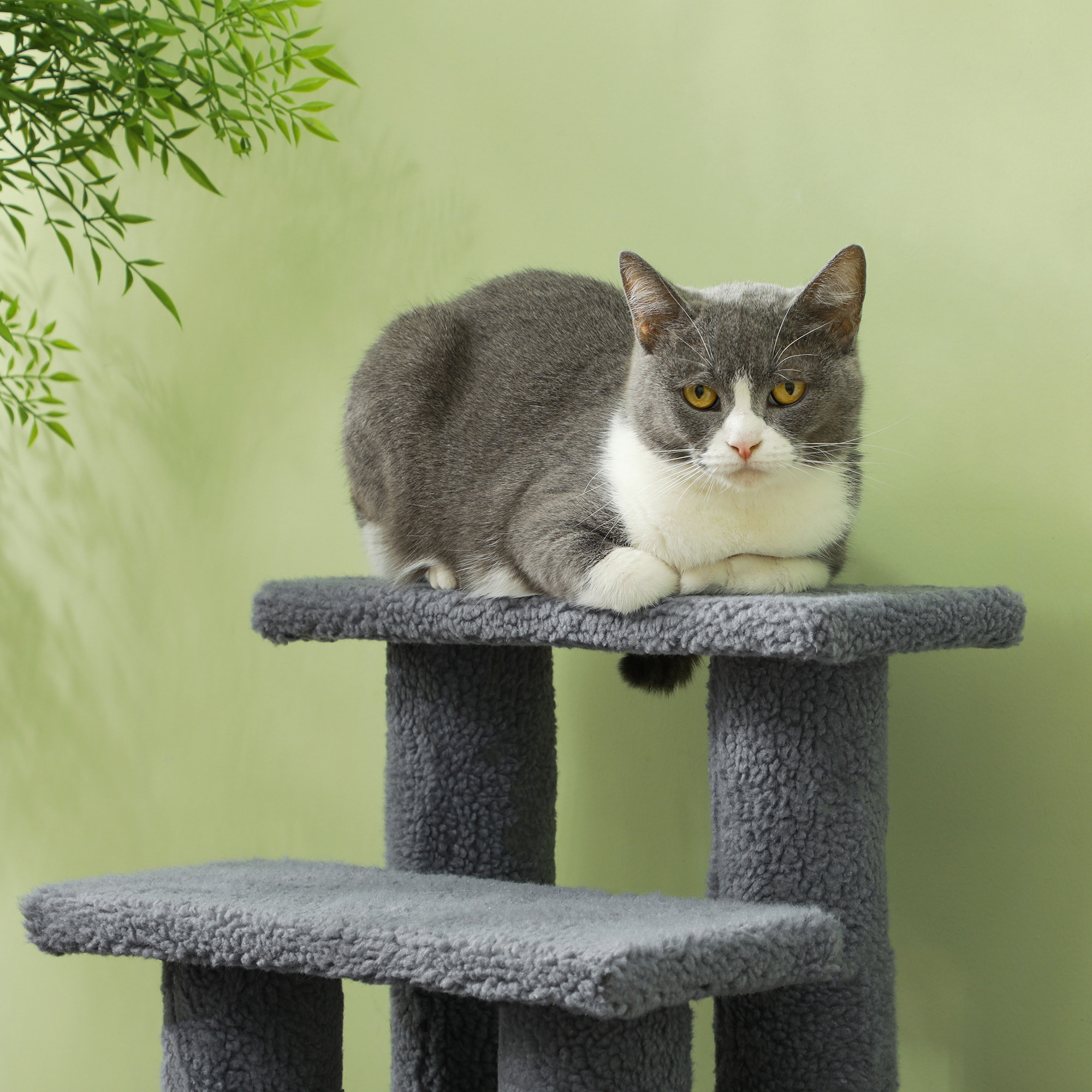 Escalier pour chat - escalier pour chien - 4 marches - revêtement flanelle grande douceur haute densité - structure panneaux particules - gris