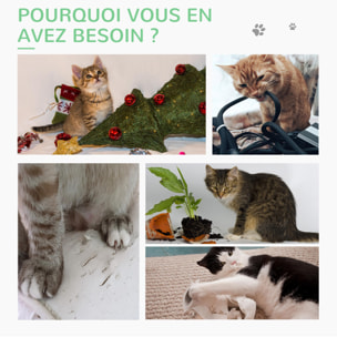 Griffoir chat design cactus - jouet pompon suspendu, jouet boules - bois de pin sisal vert