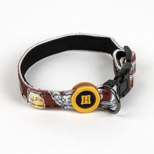 Set para perros diseño harry potter