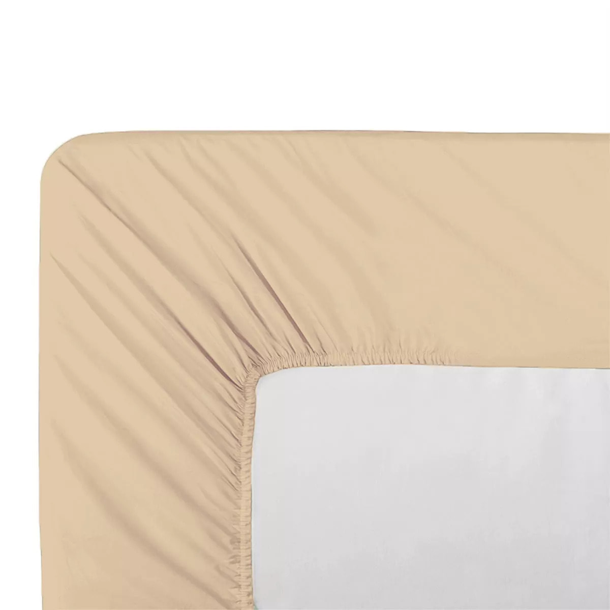 Drap housse b35 percale de coton uni beige Giulia stone