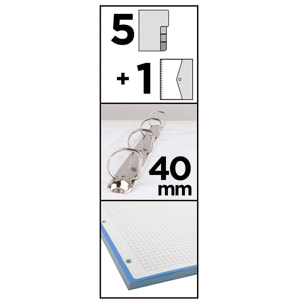 PACK 6 UNITA' RACCOGI DOCUMENTI 4 ANELLI CON RICAMBIO A4 Teschio