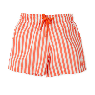 Boxer - Coral