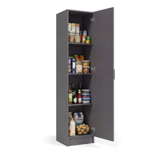 Armario de 1 puerta en gris grafito 37x180 cm Multi Useful Gris Grafito