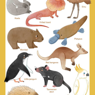 Affiche enfant animaux d' australie  Affiche + cadre en bois - Chêne