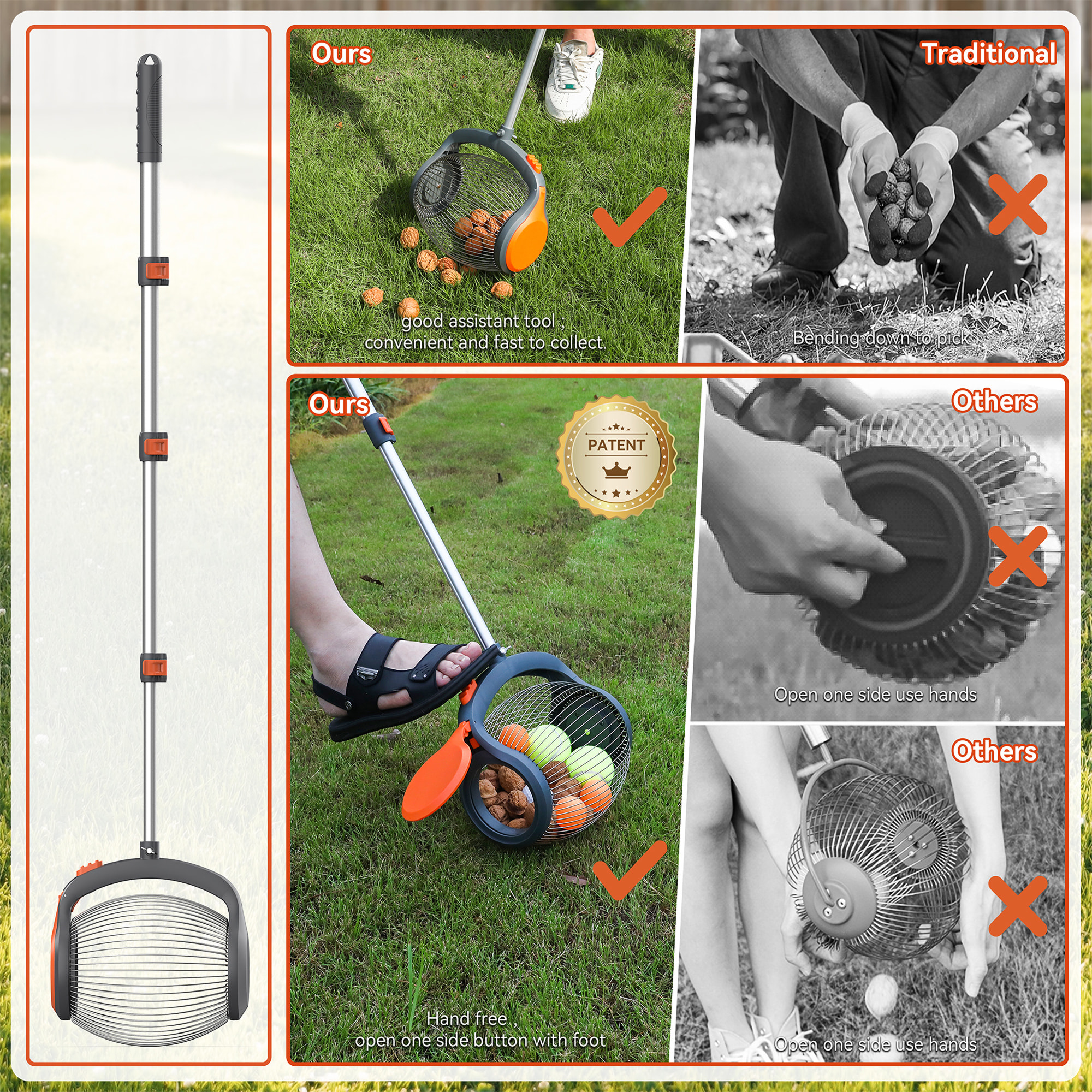 Bawang - Rullo Raccoglifrutta da 2 a 4 cm con Asta Telescopica in Acciaio per Frutta Nocciole Castagne e Oggetti