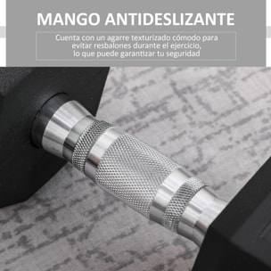 Mancuerna Hexagonal 12,5 kg de Hierro Fundido Pesas de Acero Recubiertas de Goma con Mango Moleteado para Musculación Entrenamiento en Casa Gimnasio