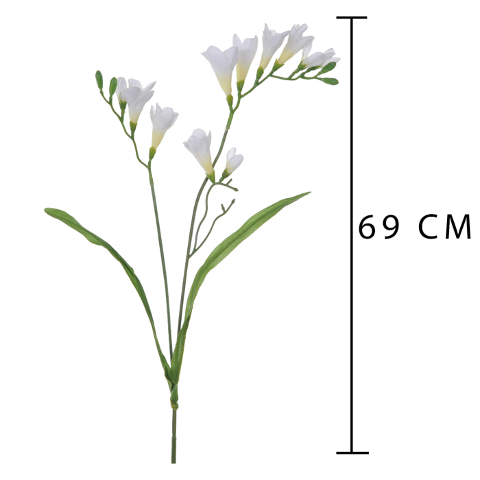 Fresia Composta Da 2 Fiori. Altezza 58 Cm - Pezzi 12 - 10X69X3cm - Colore: Altro - Bianchi Dino - Fiori Artificiali