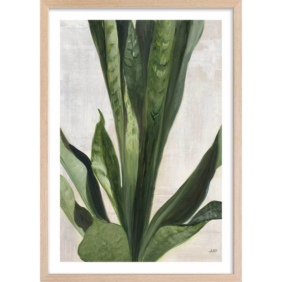 Poster Sanseveria aquarelle Affiche + cadre en bois - Chêne