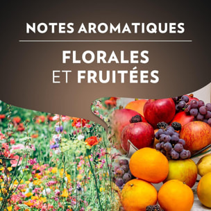 Grains Espresso Italiano Grains 500g 100% arabica