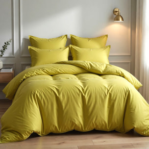 Parure Housse De Couette + 1 taie 100% Coton 57fils Gold