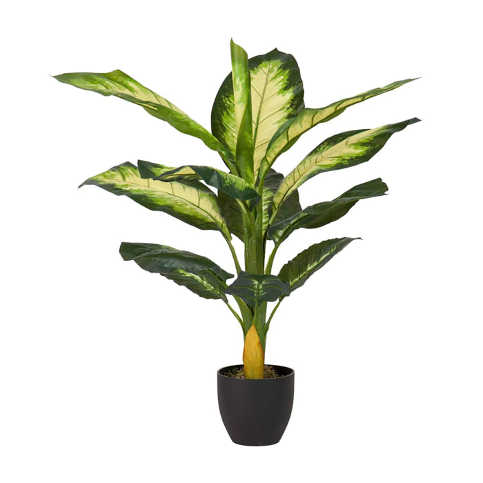 Planta Artificial Dieffenbachia Dotied 55x55x100 Cm