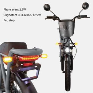 Draisienne électrique WISPEED WIMOB Plus Gris - Homologué