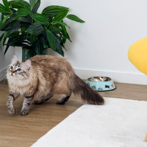 Gamelle Anti Derapante