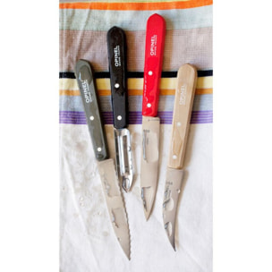 Set de couteaux OPINEL Bon appétit Loft 4 couteaux de table