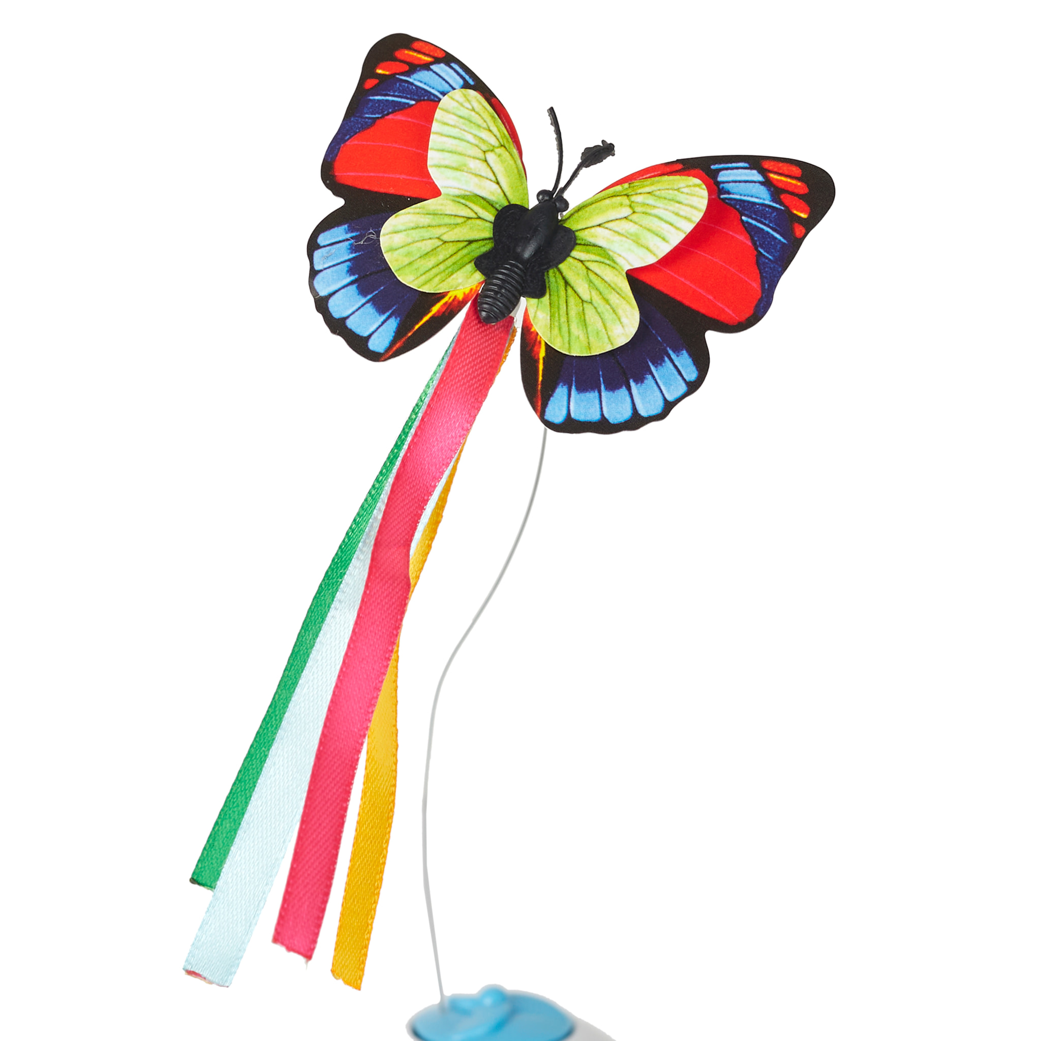 Jeu Papillon Interactif Pour Chat