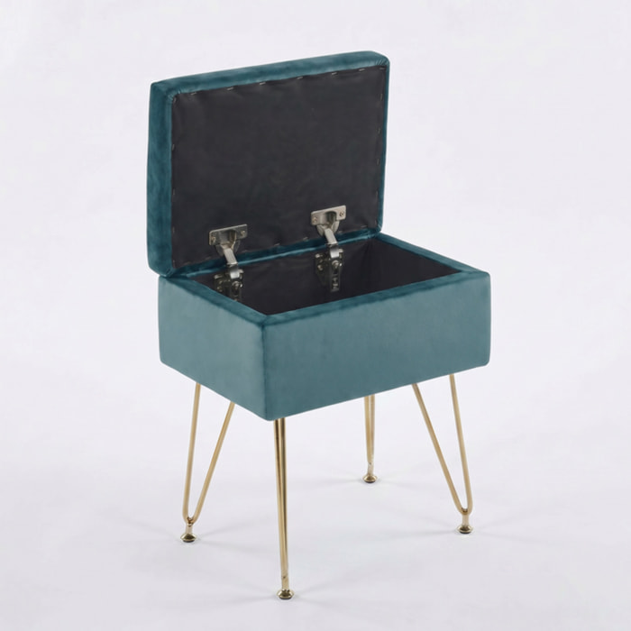 Panca Contenitore in Effetto Velluto con Seduta Imbottita e Vano Portaoggetti, Design Moderno con Gambe in Acciaio per Ingresso, Camera da Letto e Soggiorno