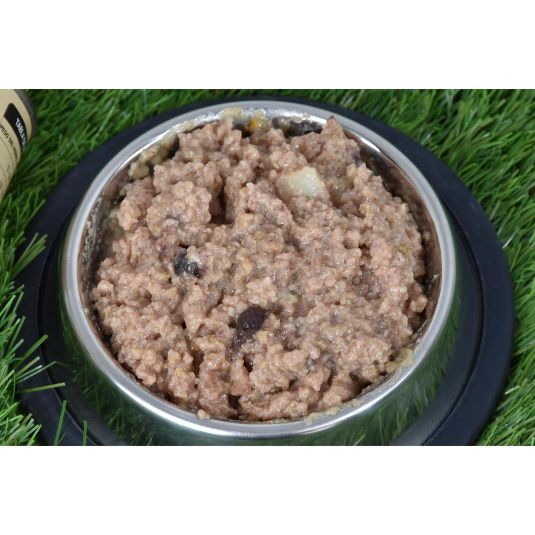 PLANETA HUERTO | Comida Húmeda para Perros de Pollo y Pato – Pack 12x 380 g, Grain Free Superpremium, Sin Cereales ni OGM