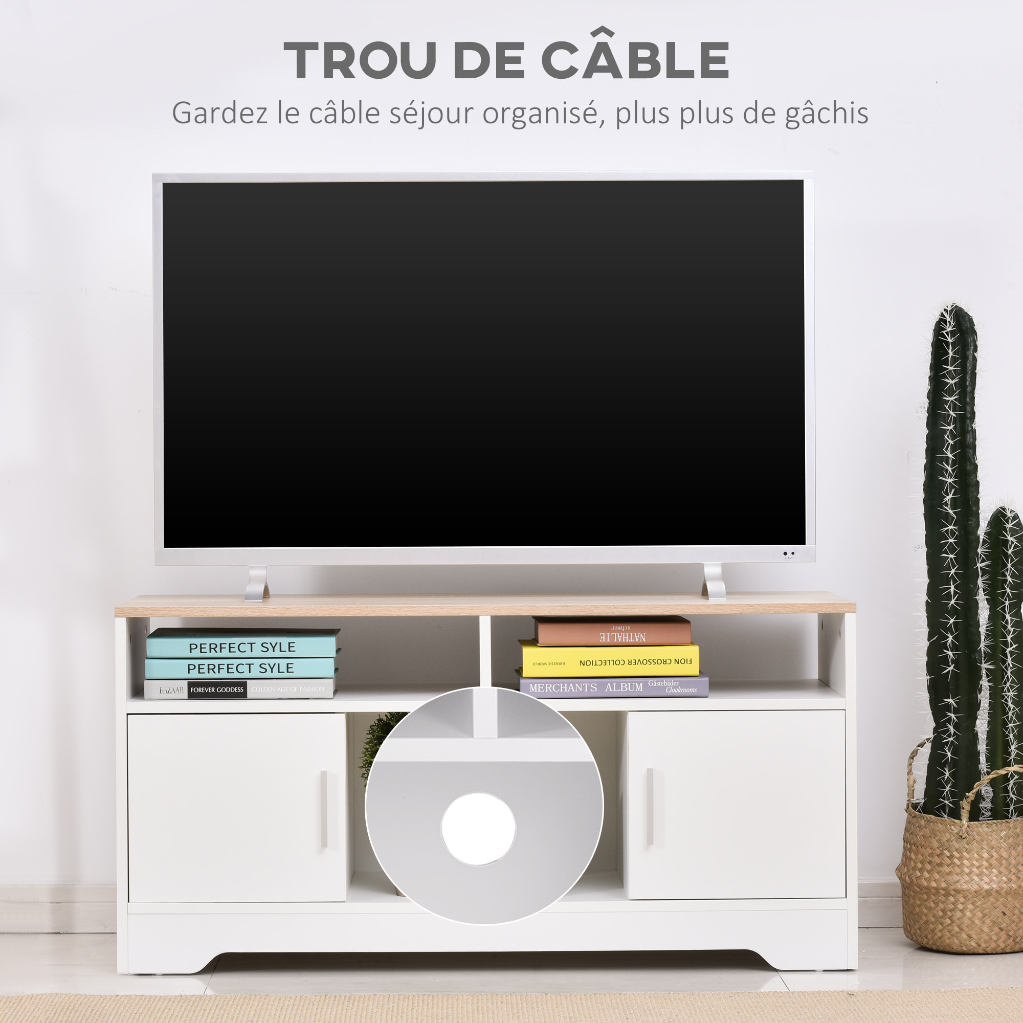 Meuble TV avec 2 Compartiments Ouverts 2 Armoires à Porte Armoire Ouverte