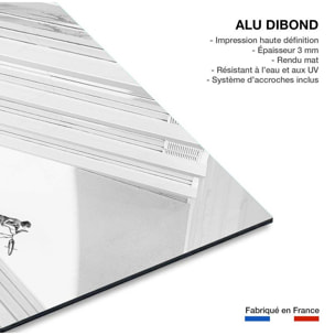 Tableau design Freestyle art Tableau alu Dibond