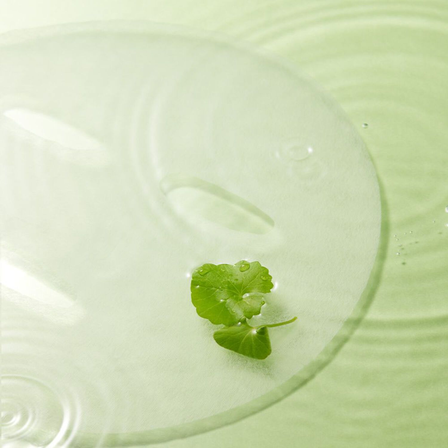 Balanceful - Masque en Tissu Équilibrant à l'Extrait de Centella Asiatica