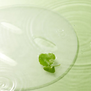 Balanceful - Masque en Tissu Équilibrant à l'Extrait de Centella Asiatica