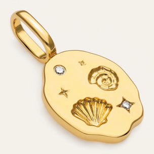 Charm Treasure Baño Oro
