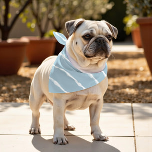 Pack de 2 bandanas pour animaux Vera