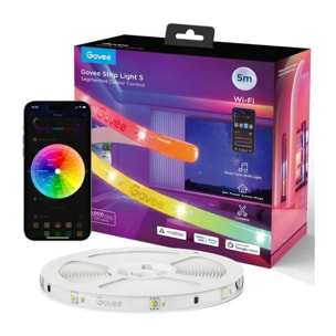 Bandeau LED GOVEE LED STRIP LIGHT RGBIC WIFI+BT - 5M